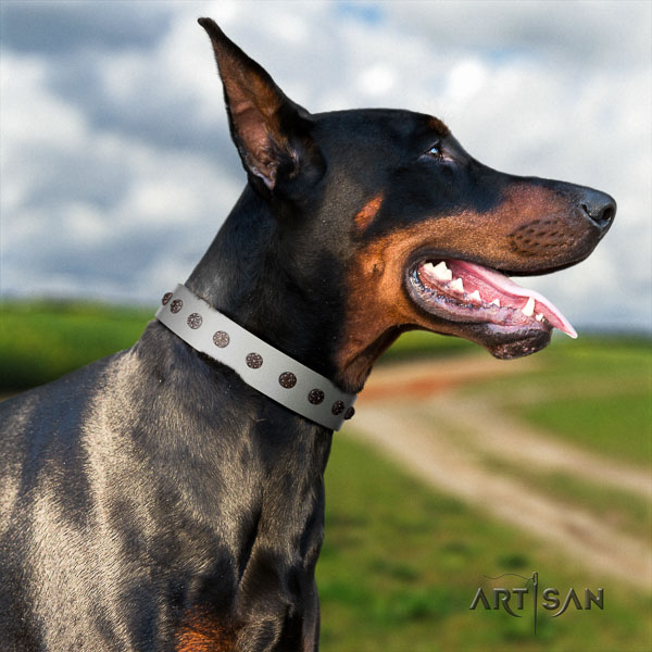 Doberman natural genuine leather dog collar with embellishments for your stylish dog