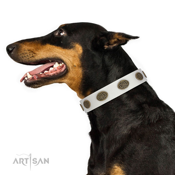 Doberman decorated genuine leather dog collar for comfortable wearing