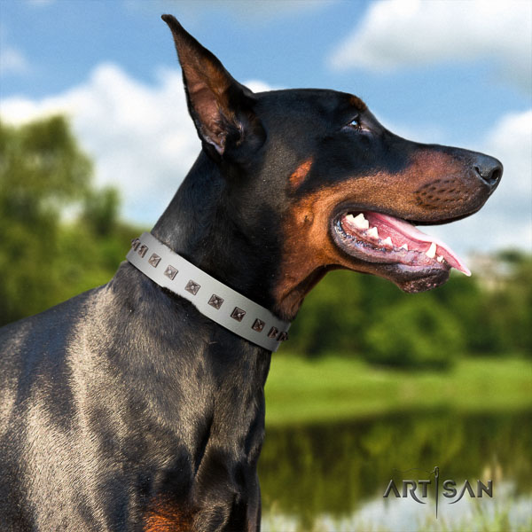 Doberman full grain natural leather dog collar with adornments for your handsome pet