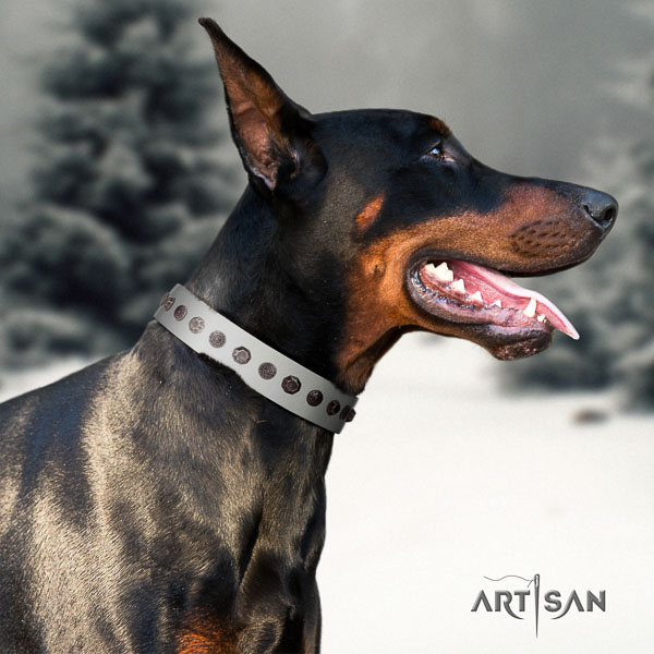 Doberman leather dog collar with studs for your beautiful canine