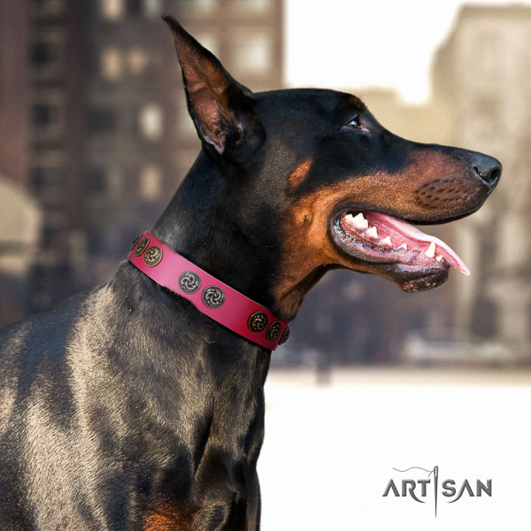 Doberman leather dog collar with decorations for your attractive canine