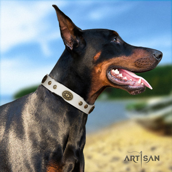 Doberman handmade full grain leather collar with adornments for your doggie