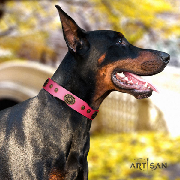 Doberman best quality full grain natural leather collar with studs for your dog