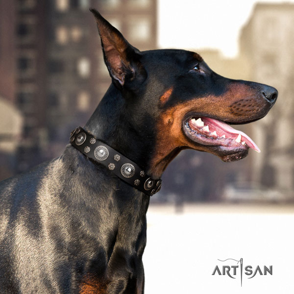 Doberman leather dog collar with adornments for your lovely canine