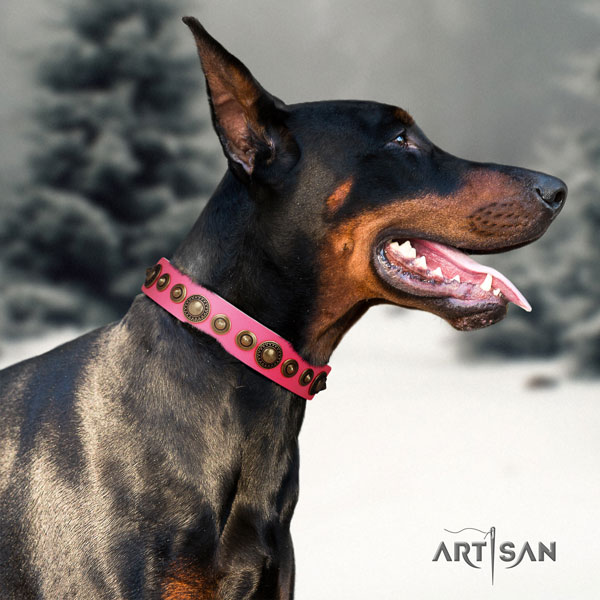 Doberman leather dog collar with decorations for your handsome canine
