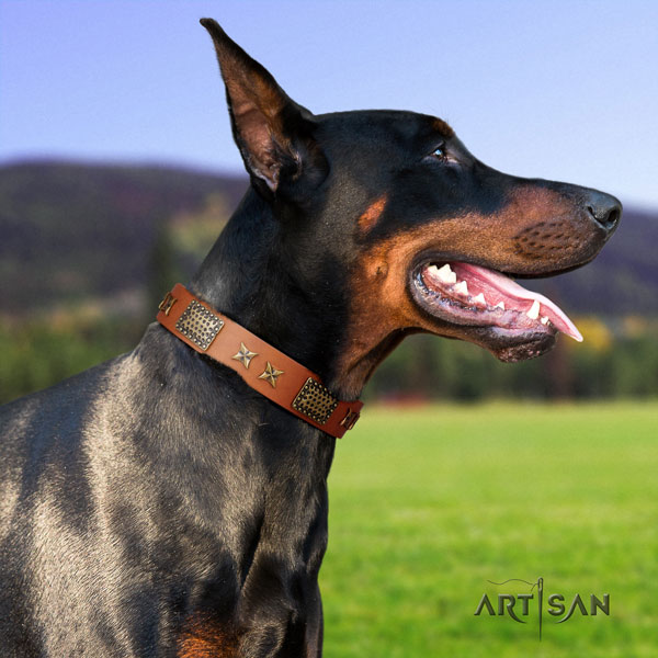 Doberman full grain genuine leather dog collar with embellishments for your beautiful four-legged friend