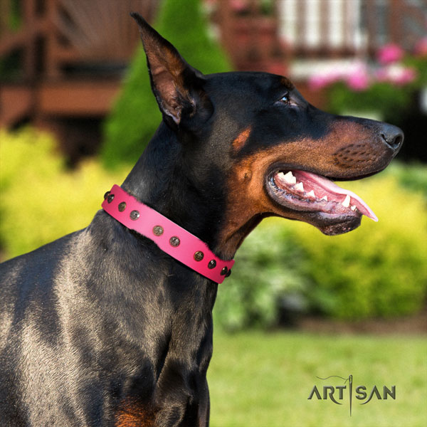 Doberman leather dog collar with embellishments for your stylish pet