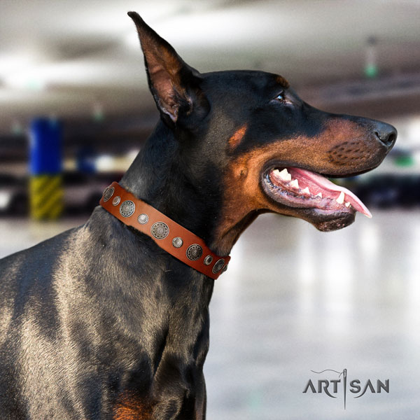 Doberman trendy full grain genuine leather collar with adornments for your dog