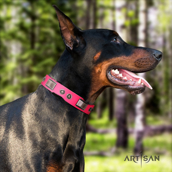 Doberman stunning genuine leather collar with decorations for your pet