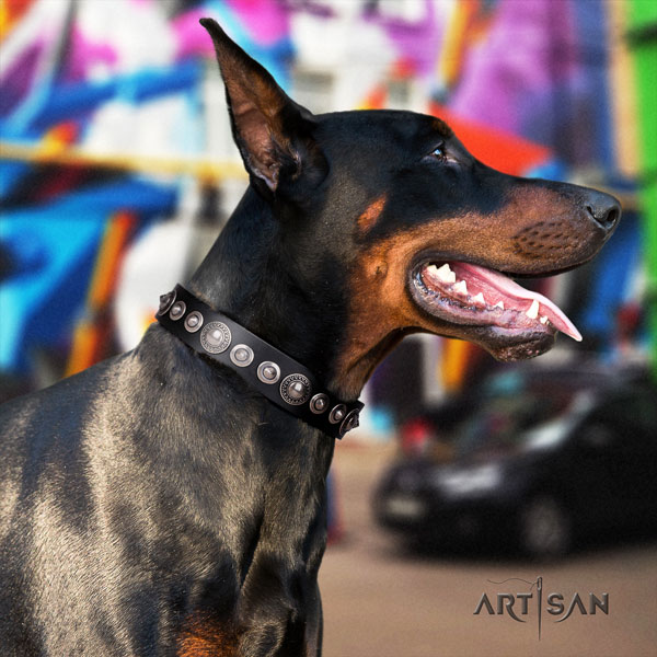 Doberman genuine leather dog collar with embellishments for your attractive four-legged friend