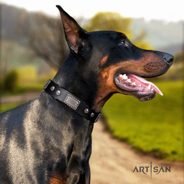 Doberman incredible full grain genuine leather collar with adornments for your pet