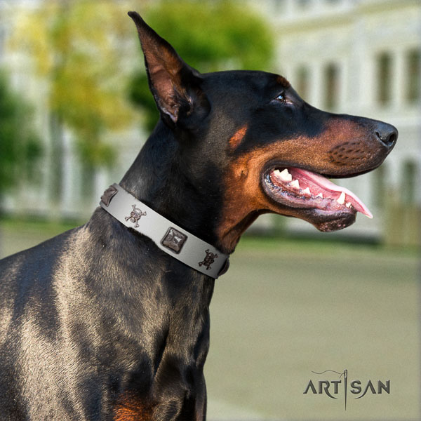 Doberman full grain genuine leather dog collar with embellishments for your beautiful dog