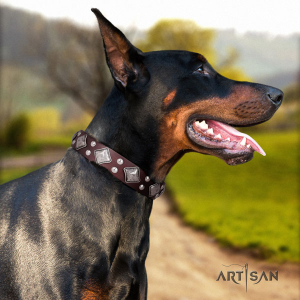 Doberman full grain leather dog collar with adornments for your beautiful four-legged friend