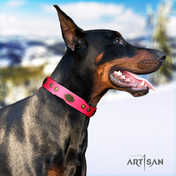 Doberman designer full grain genuine leather collar with adornments for your doggie