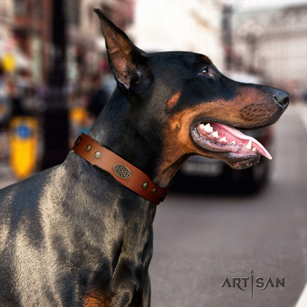 Doberman amazing full grain leather collar with studs for your canine