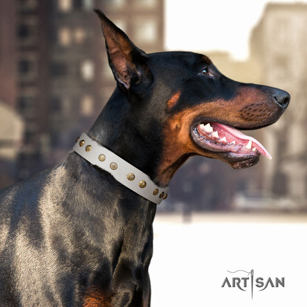 Doberman leather dog collar with adornments for your handsome dog