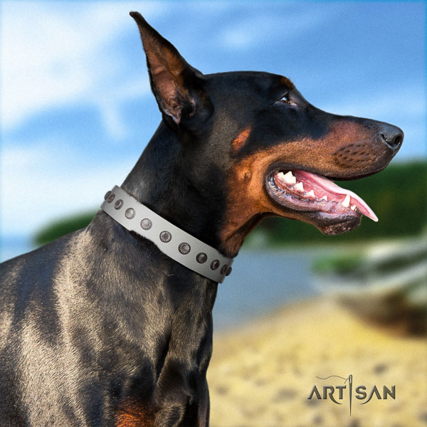 Doberman full grain genuine leather dog collar with studs for your impressive doggie