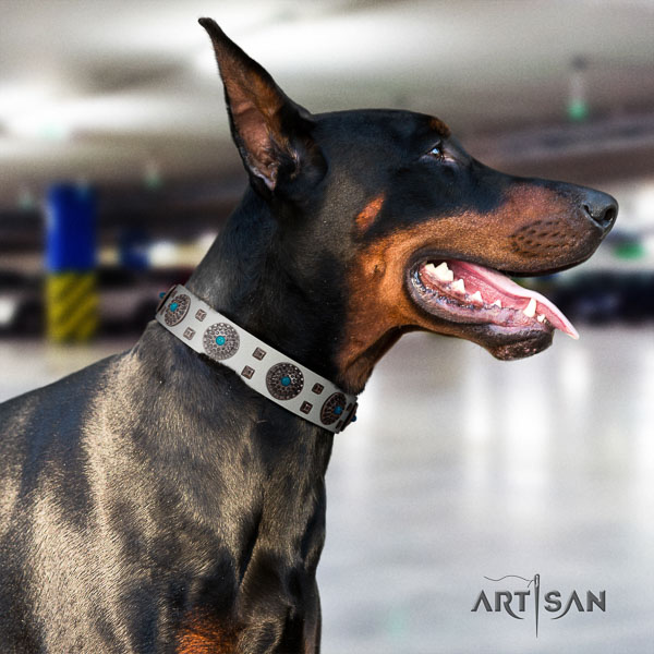 Doberman full grain genuine leather dog collar with adornments for your beautiful pet
