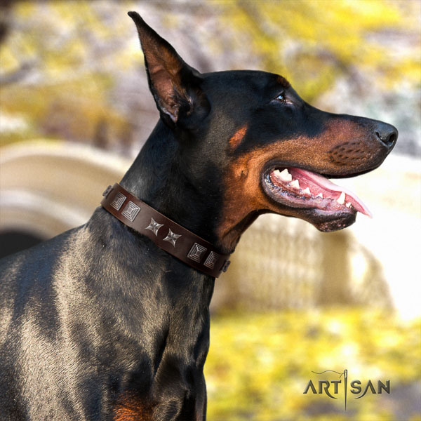 Doberman genuine leather dog collar with studs for your lovely doggie