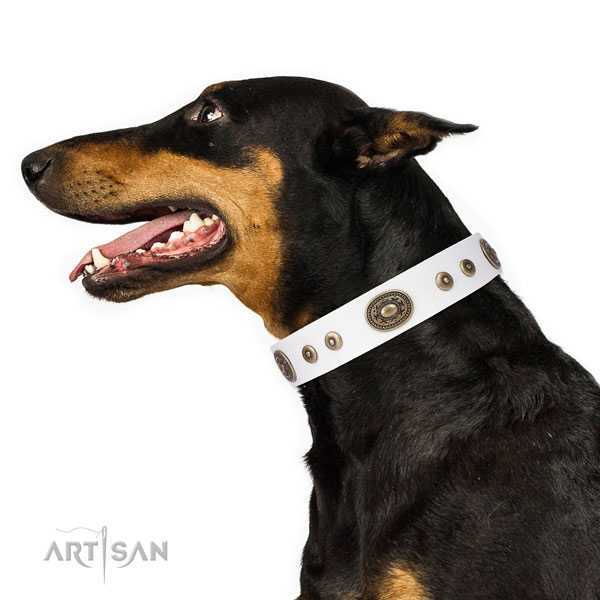 Doberman stunning leather dog collar for walking