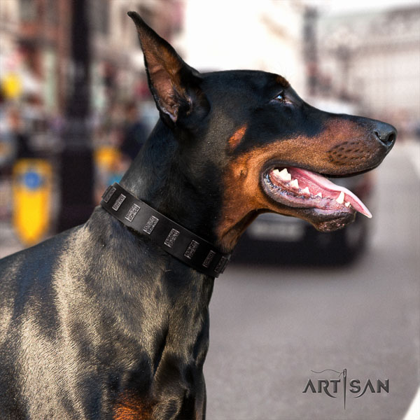 Doberman full grain leather dog collar with adornments for your impressive four-legged friend