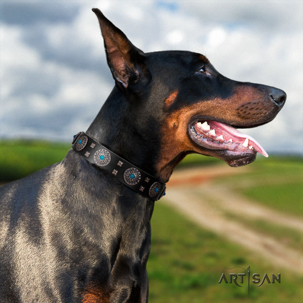 Doberman leather dog collar with decorations for your beautiful doggie