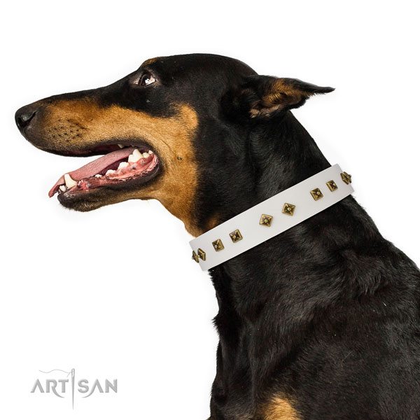 Doberman unique full grain genuine leather dog collar for easy wearing