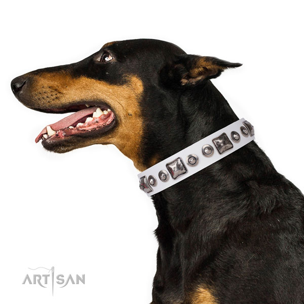 Doberman adorned natural genuine leather dog collar for walking
