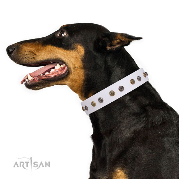 Doberman easy to adjust natural genuine leather dog collar for walking