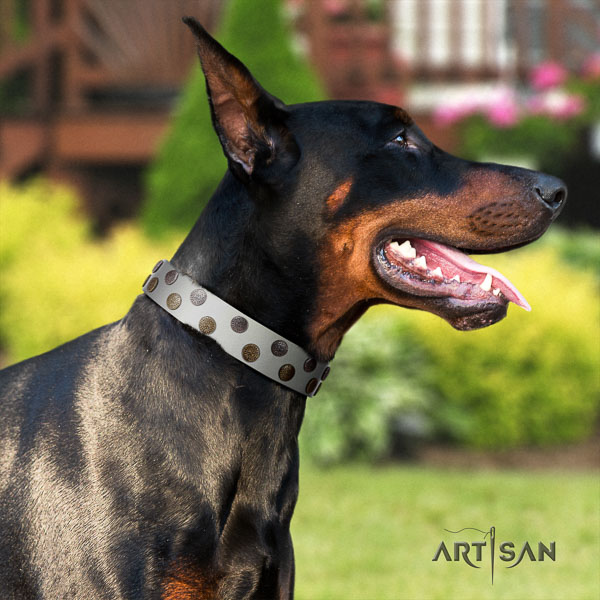 Doberman leather dog collar with decorations for your stylish four-legged friend