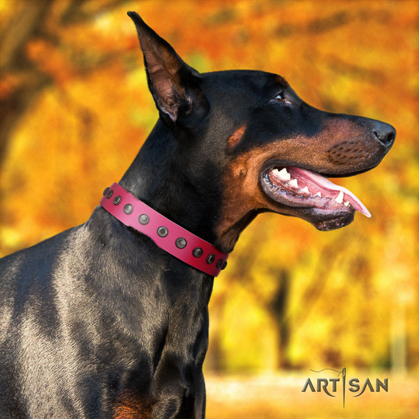 Doberman natural genuine leather dog collar with decorations for your beautiful four-legged friend