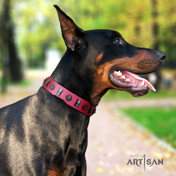Doberman natural genuine leather dog collar with studs for your handsome canine
