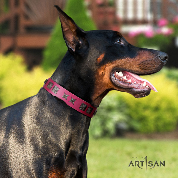 Doberman genuine leather dog collar with embellishments for your attractive canine