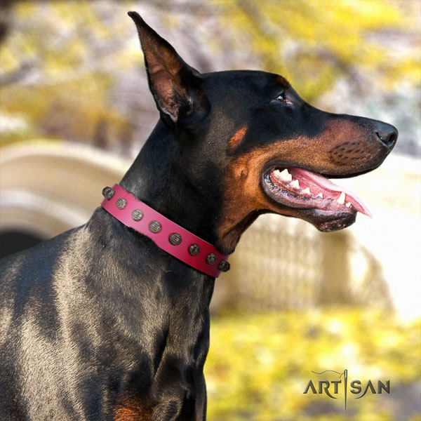 Doberman leather dog collar with adornments for your beautiful dog