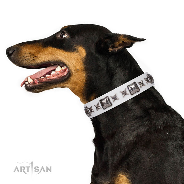 Doberman extraordinary leather dog collar for daily walking