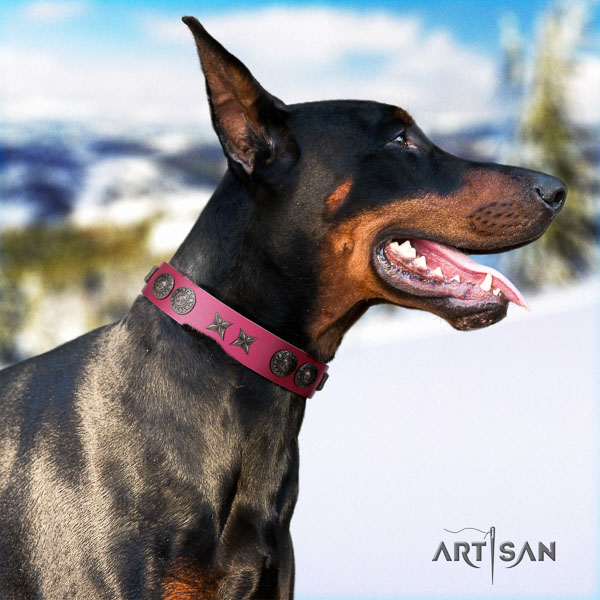 Doberman full grain genuine leather dog collar with embellishments for your beautiful doggie