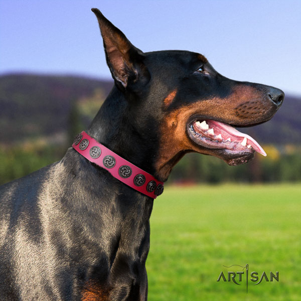 Doberman genuine leather dog collar with embellishments for your lovely doggie