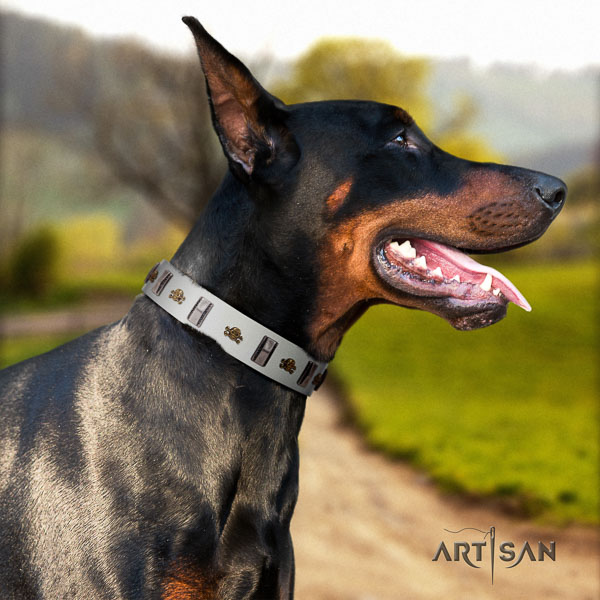 Doberman full grain genuine leather dog collar with decorations for your stylish canine