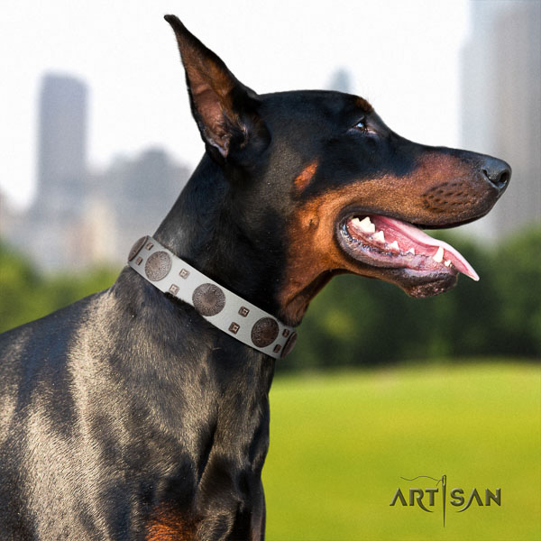 Doberman full grain natural leather dog collar with studs for your impressive canine
