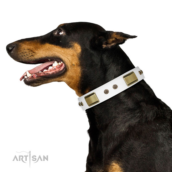 Doberman impressive genuine leather dog collar for fancy walking