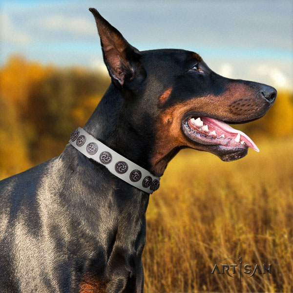 Doberman full grain genuine leather dog collar with embellishments for your impressive doggie