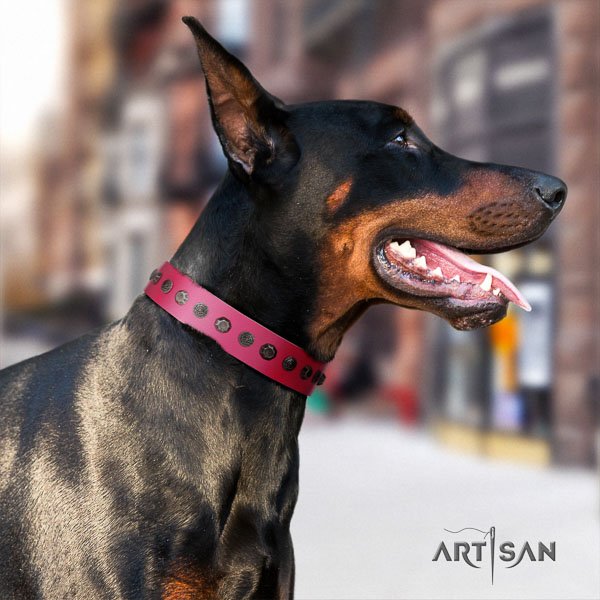 Doberman full grain natural leather dog collar with studs for your beautiful four-legged friend