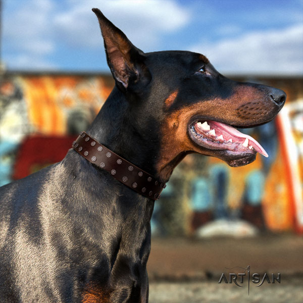 Doberman natural genuine leather dog collar with decorations for your lovely canine
