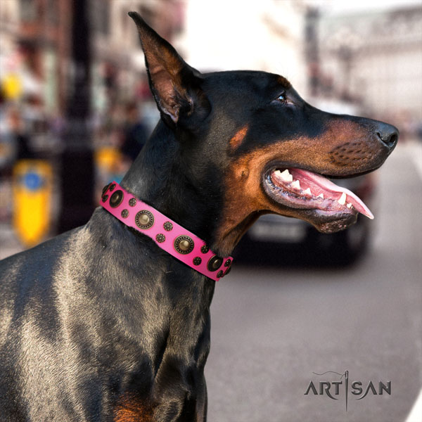 Doberman natural genuine leather dog collar with adornments for your handsome canine