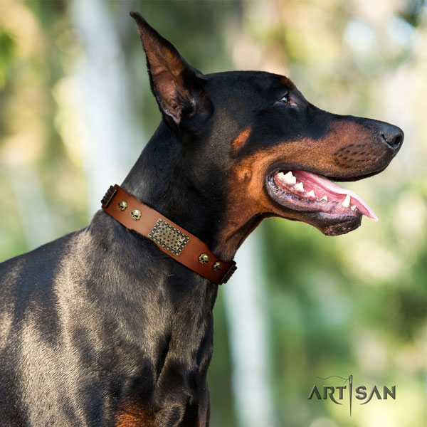 Doberman exceptional genuine leather collar with studs for your four-legged friend