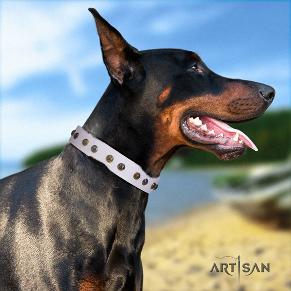 Doberman leather dog collar with embellishments for your attractive canine