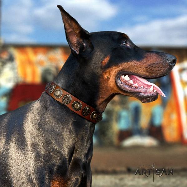 Doberman daily use full grain genuine leather collar with decorations for your pet