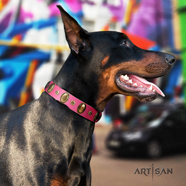 Doberman everyday use full grain leather collar with unique adornments for your canine