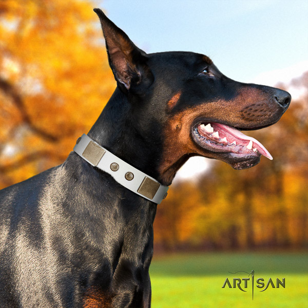 Doberman basic training full grain genuine leather collar with embellishments for your four-legged friend