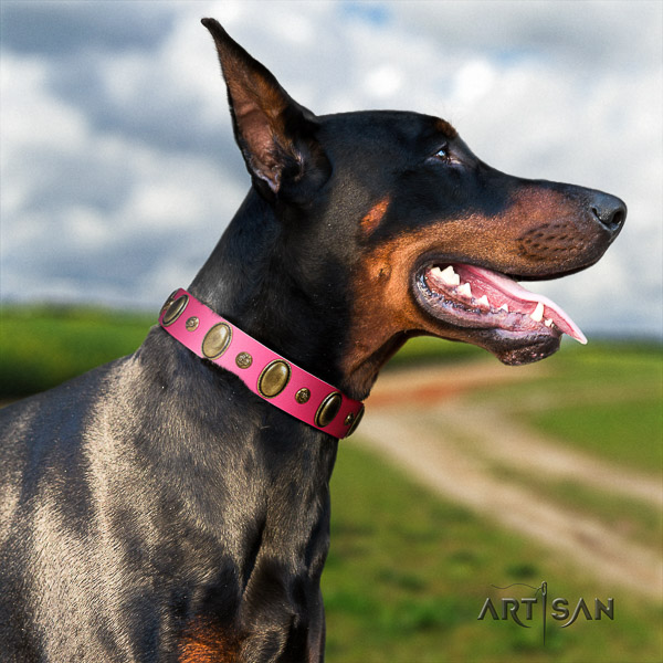 Doberman comfy wearing natural leather collar with embellishments for your pet